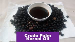 Natural Quality Palm Kennel Oil For Sale