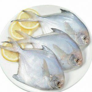 Fresh Fishes14
