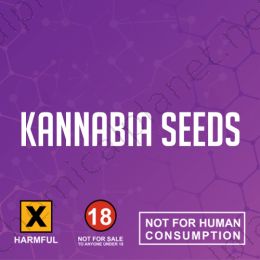 Cannabis Seeds (Kannabia)